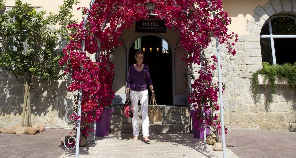 Le Mas Des Citronniers Collioure Exteriér fotografie
